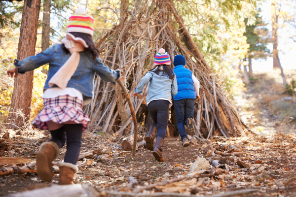 Introduction to the Rule of Three CANVA Kids