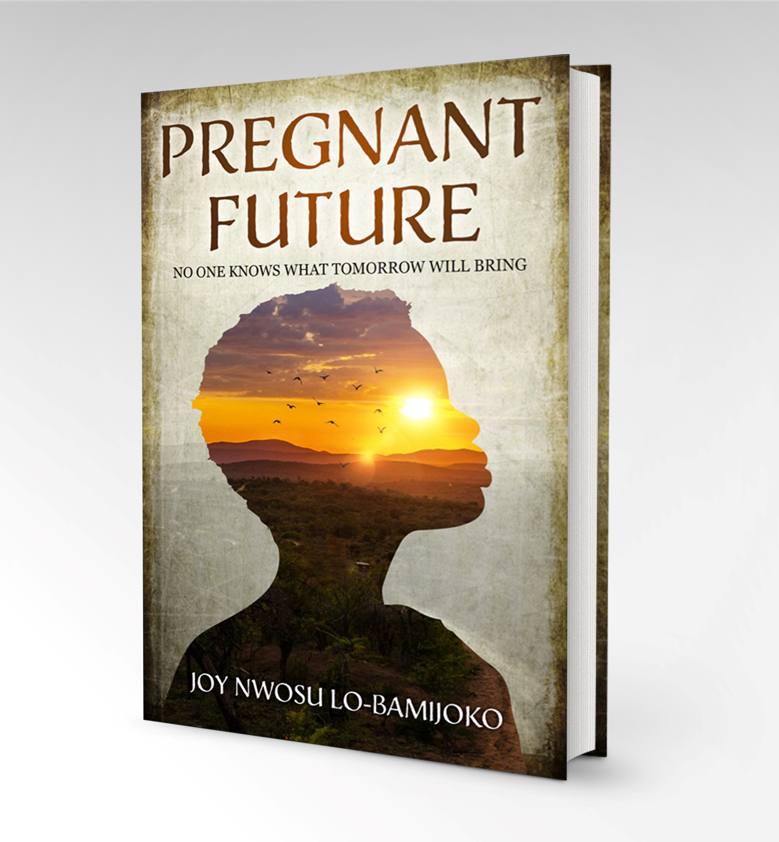 Pregnant Future by Joy Lo-Bamijoko