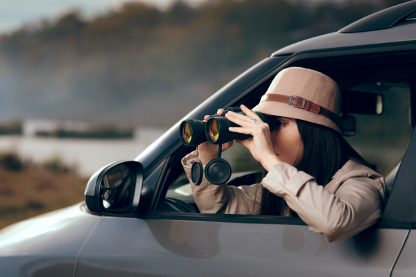 Writing New Adult Female detective CANVA