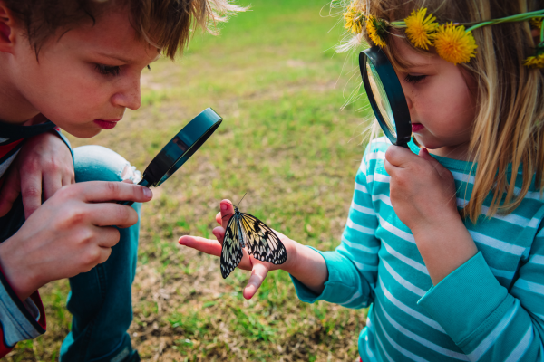 Submissions Research as Inspiration CANVA kids and nature