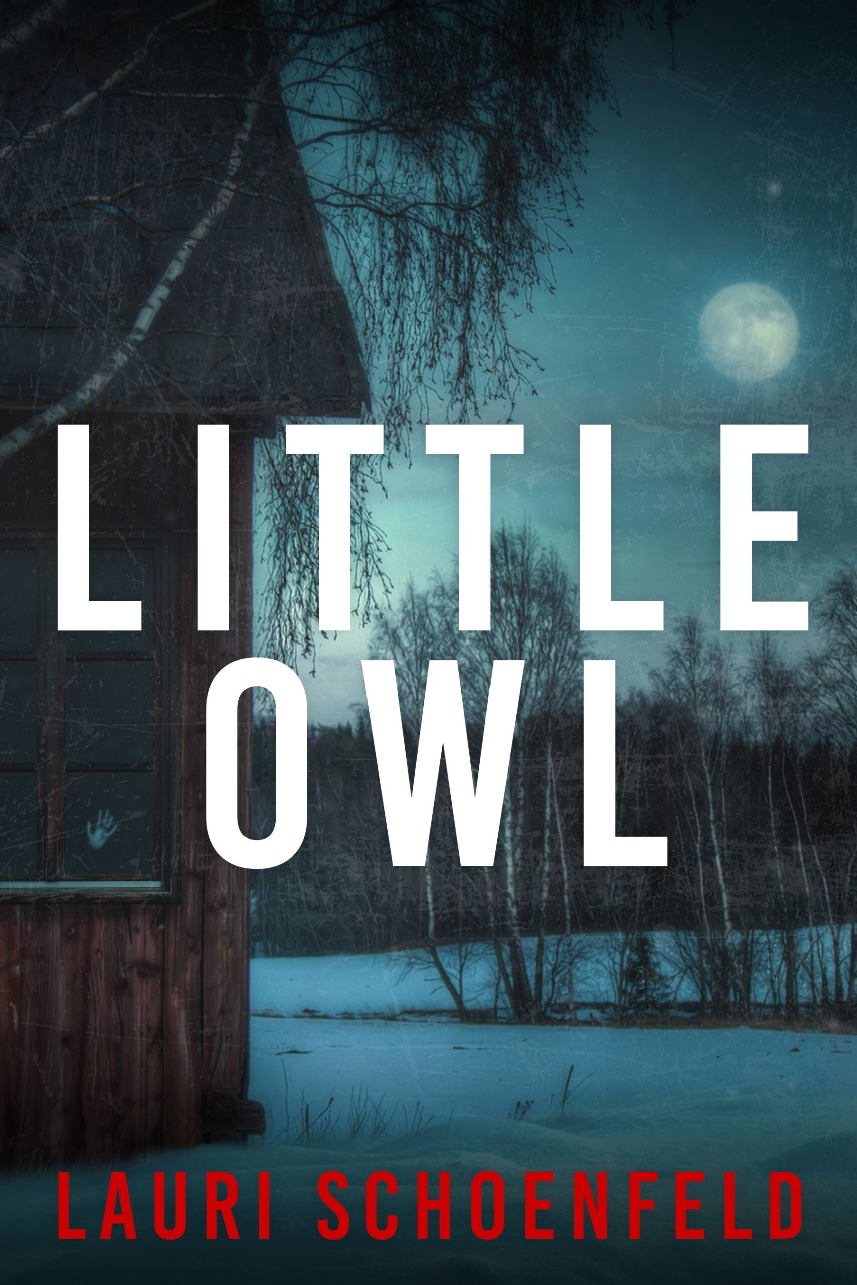 LITTLE OWL by Lauri Schoenfeld ICL Published Grad