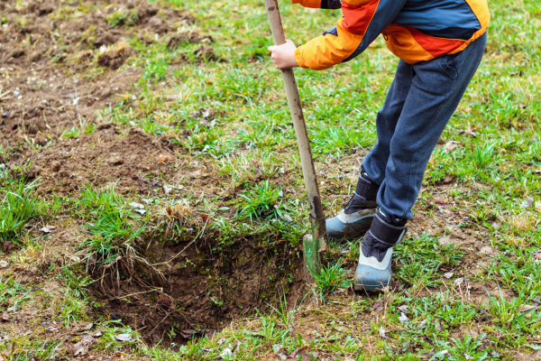 3 Resolutions to Make You a Better Writer CANVA boy digging