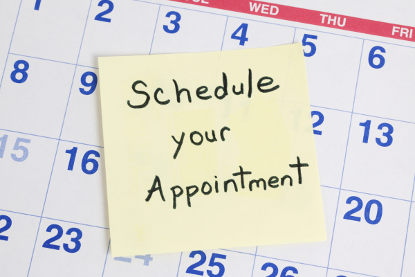 Make Time to Write CANVA Blank Schedule Your Appointment