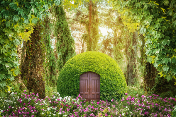 What is Worldbuilding_ CANVA Fantasy world