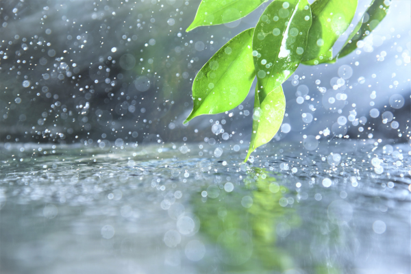 4 Ways Setting Acts with and As Character CANVA fresh rain