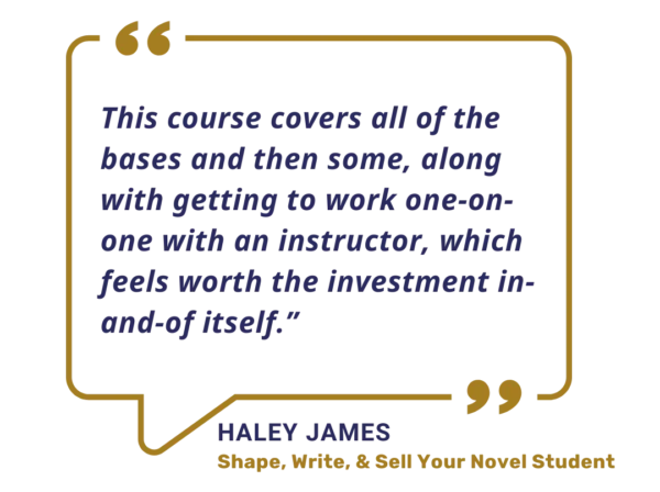 How to write a novel with Shape, Write, and Sell Your Novel course with a writing mentor